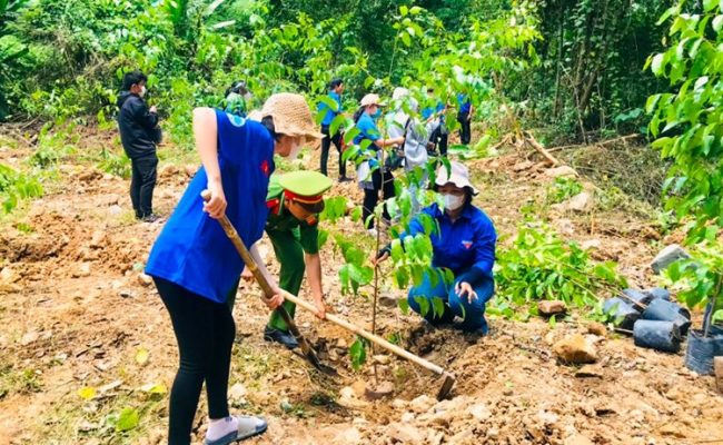 “Triệu Cây Xanh – Vì Một Việt Nam Xanh” tiếp tục hành trình phủ xanh rừng đầu nguồn